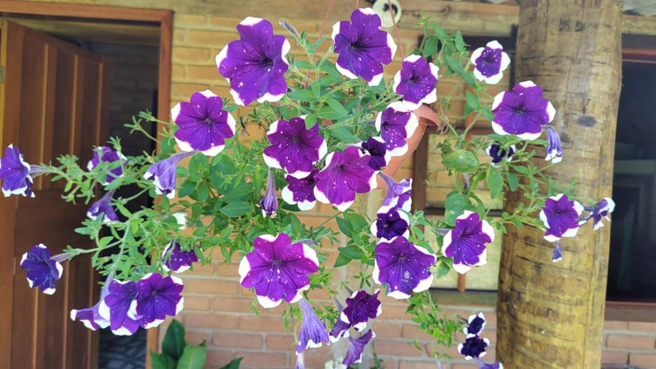 Chale Vale Das Flores - Visconde De Maua Rj Екстер'єр фото